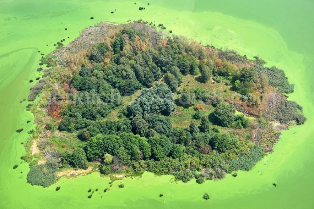 Quitzdorf am See from the bird's eye view: View of heart-shaped island in the dam Quitzdorf in Saxony