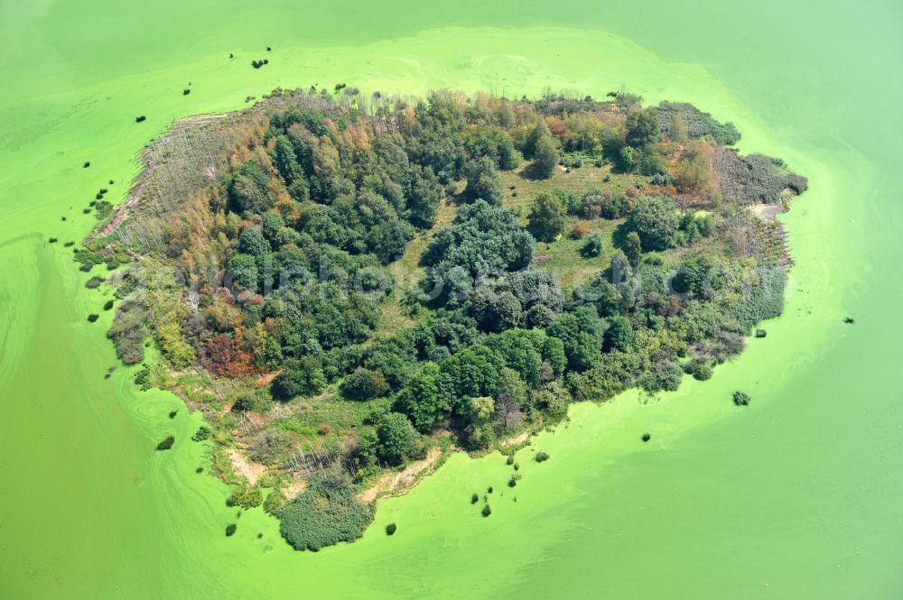 Aerial image Quitzdorf am See - View of heart-shaped island in the dam Quitzdorf in Saxony