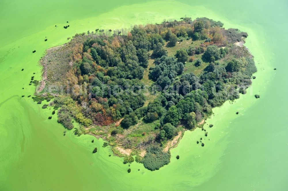 Aerial photograph Quitzdorf am See - View of heart-shaped island in the dam Quitzdorf in Saxony