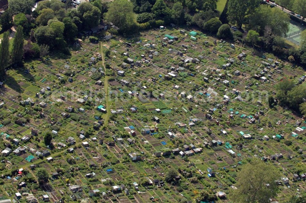 London from above - View of allotments in London. The facility is located between the gardens Moat Gardens and Fulham Palace Gardens at the Thames