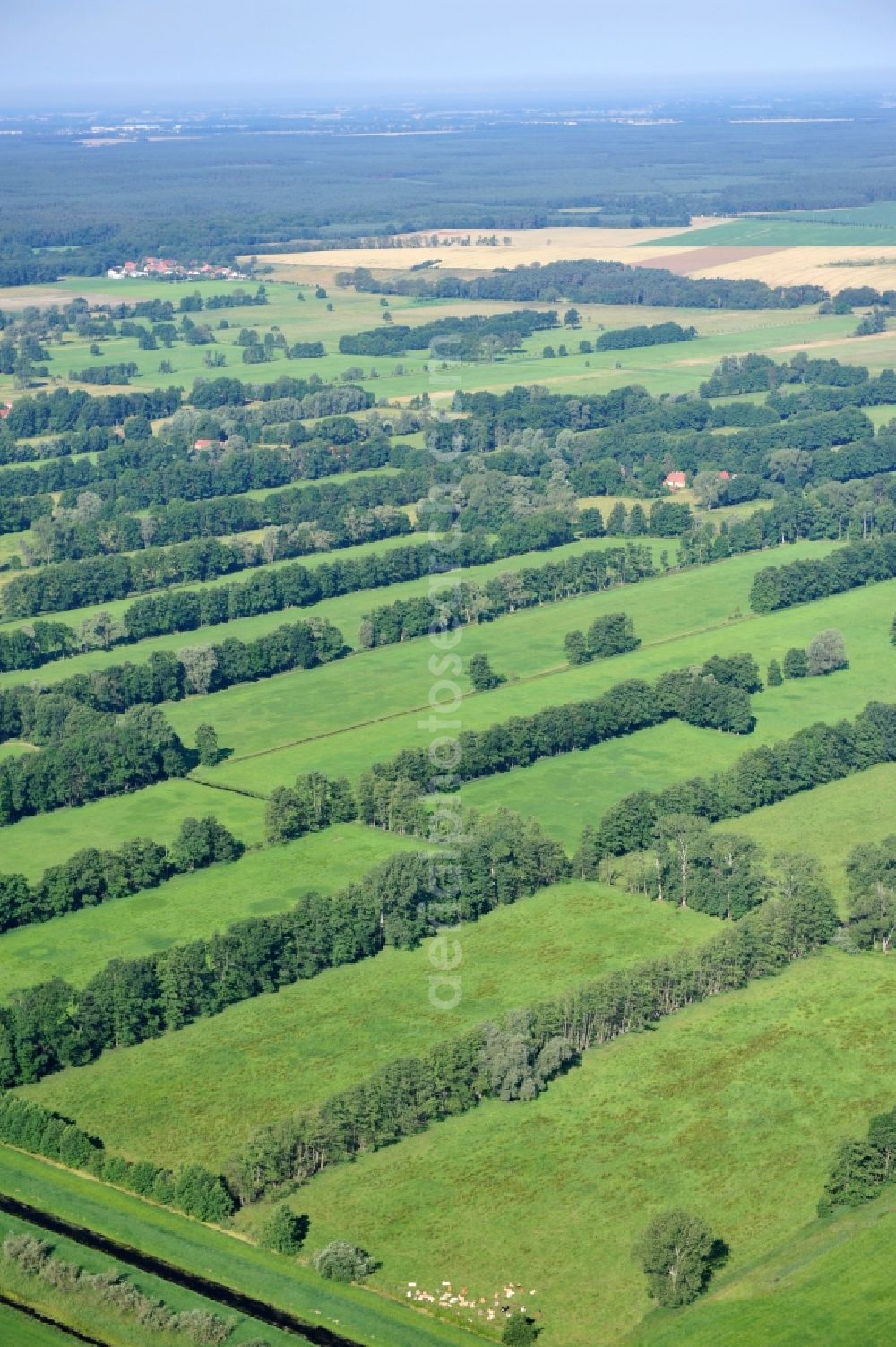 Sophiendorf from above - View of landscape in the district Sophiendorf of the village Breddin in Brandenburg