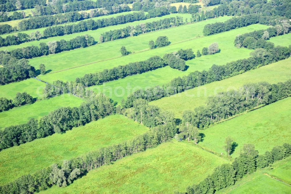 Sophiendorf from the bird's eye view: View of landscape in the district Sophiendorf of the village Breddin in Brandenburg