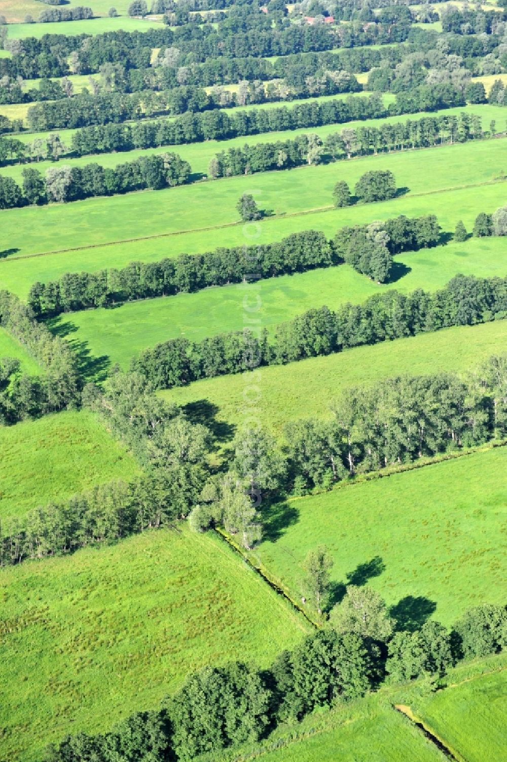 Aerial image Sophiendorf - View of landscape in the district Sophiendorf of the village Breddin in Brandenburg