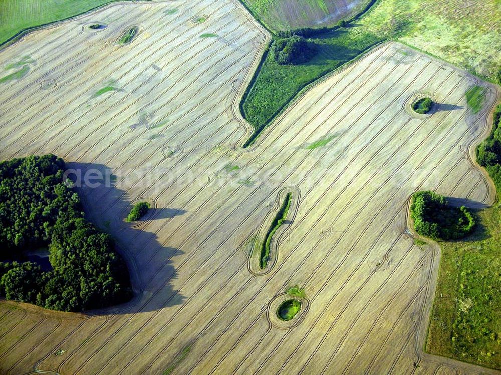 Rostock - Warnemünde from above - Warnemünde: landwirtschaftliche Nutzfläche von oben