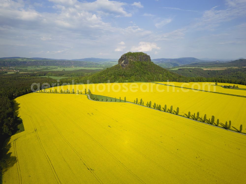 Porschdorf from the bird's eye view: View of the Lilienstein and the Elbe Valley in Saxon Switzerland near Prossen in the state of Saxony. The landscape on the banks of the Elbe is part of the Saxon Switzerland National Park