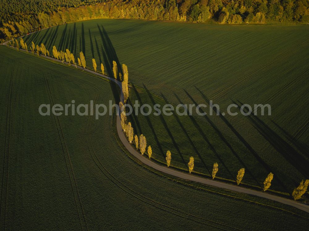 Porschdorf from the bird's eye view: View of the Lilienstein and the Elbe Valley in Saxon Switzerland near Prossen in the state of Saxony. The landscape on the banks of the Elbe is part of the Saxon Switzerland National Park