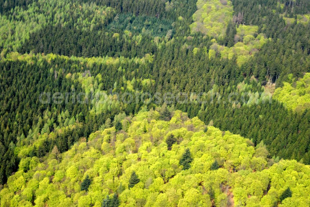 Aerial photograph Taunus - Frühjahrs- Blick auf das Mittelgebirge Taunus im Rhein-Main-Gebiet