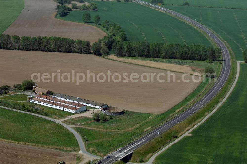 BAD FREIENWALDE from the bird's eye view: Blick auf die Ortsumfahrung der Bundesstrasse B 167 nördlich von Bad Freienwalde. Landesbetrieb Straßenwesen Brandenburg (