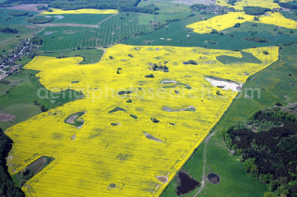 Aerial image Klein Vielen - Rapsfeld bei Klein Vielen / Mecklenburgische Seenplatte am Kleinvieler See.