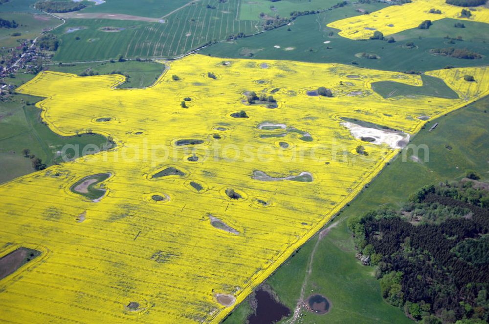 Aerial photograph Klein Vielen - Rapsfeld bei Klein Vielen / Mecklenburgische Seenplatte am Kleinvieler See.