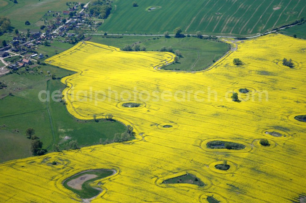 Klein Vielen from above - Rapsfeld bei Klein Vielen / Mecklenburgische Seenplatte am Kleinvieler See.