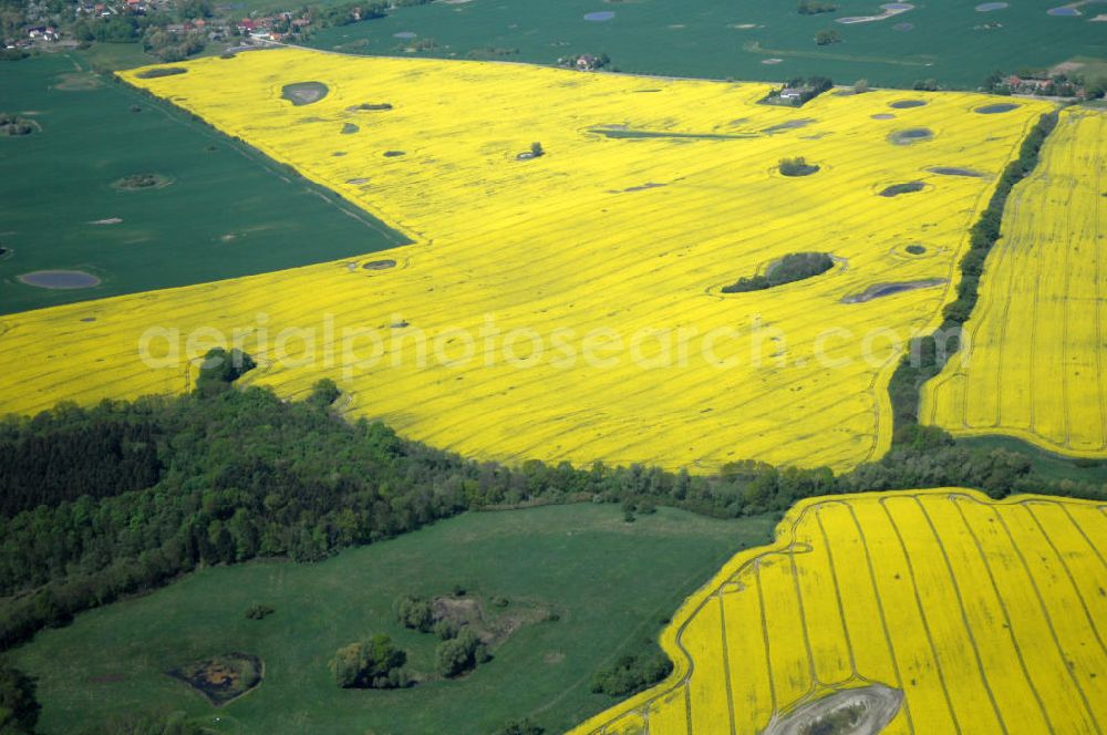 Rumpshagen from above - Rapsfeld bei Rumpshagen / Mecklenburgische Seenplatte.