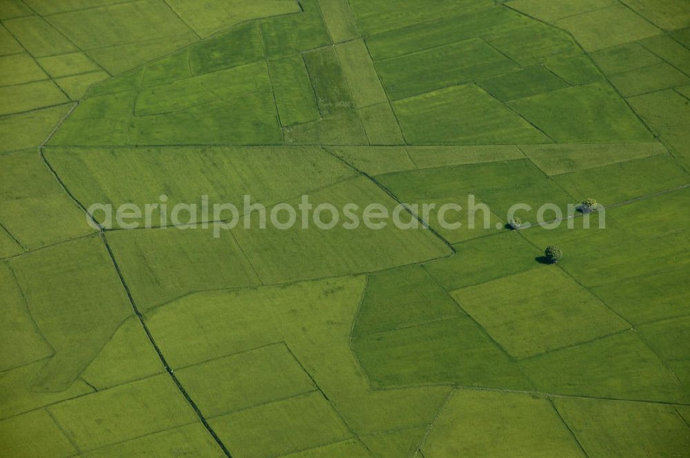 Angeles from the bird's eye view: Blick auf Reisfelder nahe des Mount Arayat. Das flache Gebiet rund um den erloschenen Vulkan ist durchzogen von landwirtschaftlichen Nutzflächen, auf denen größtenteils Reispflanzen angebaut werden. View of rice fields near Mount Arayat. The flat area around the extinct volcano is full of agricultural land on which rice plants are mostly grown.