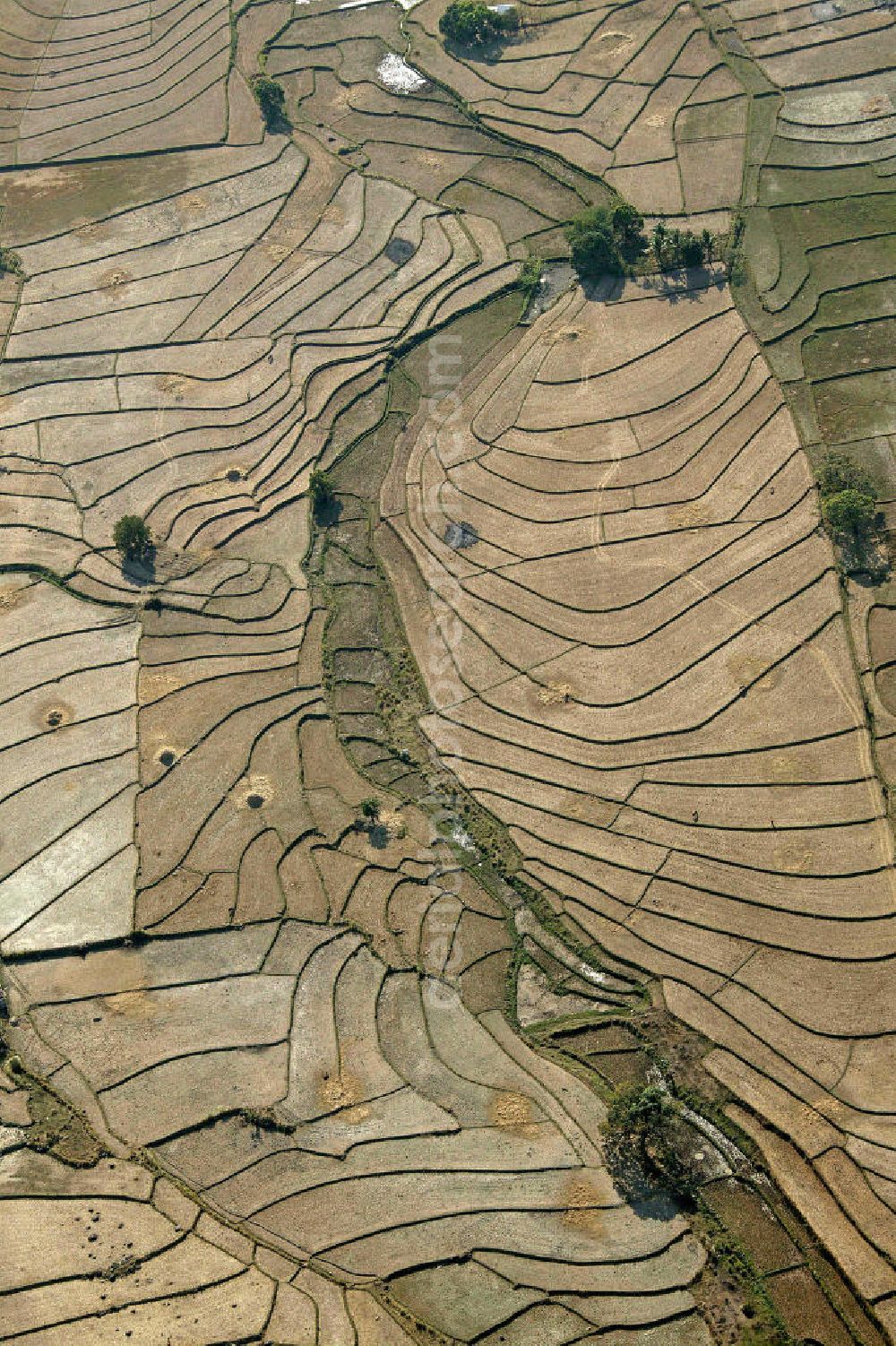 Angeles from above - Blick auf Reisfelder nahe des Mount Arayat. Das flache Gebiet rund um den erloschenen Vulkan ist durchzogen von landwirtschaftlichen Nutzflächen, auf denen größtenteils Reispflanzen angebaut werden. View of rice fields near Mount Arayat. The flat area around the extinct volcano is full of agricultural land on which rice plants are mostly grown.