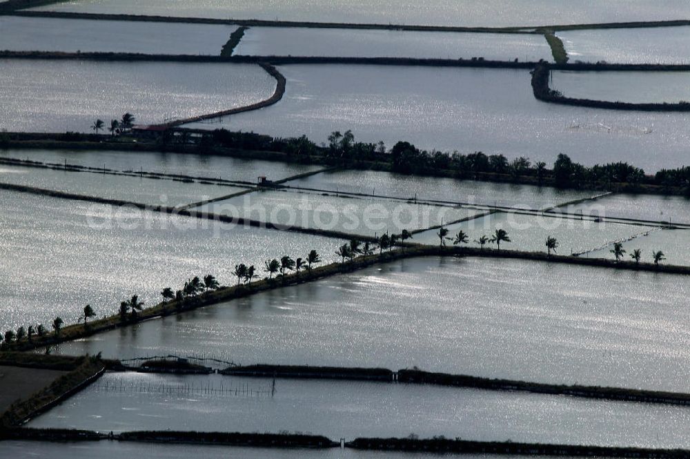 Aerial image Lingayen - Blick auf Salzgewinnungsanlagen. Das warme tropische Klima der Philippinen ist ideal für die Salzgewinnung aus Meerwasser in Verdunstungsteichen. View of salt production facilities. The warm tropical climate of the Philippines is ideal for salt production from sea water in evaporation ponds.