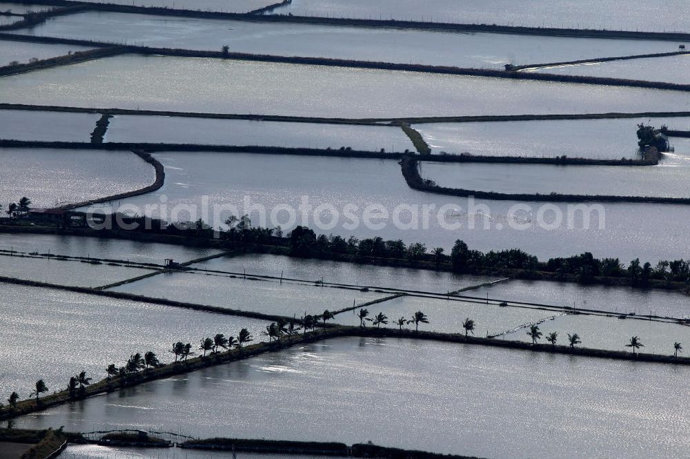 Aerial photograph Lingayen - Blick auf Salzgewinnungsanlagen. Das warme tropische Klima der Philippinen ist ideal für die Salzgewinnung aus Meerwasser in Verdunstungsteichen. View of salt production facilities. The warm tropical climate of the Philippines is ideal for salt production from sea water in evaporation ponds.