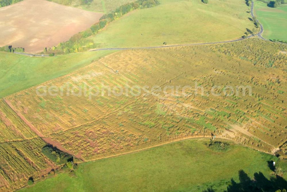 Kella from above - Kella ist eine Gemeinde im thüringischen Landkreis Eichsfeld. Sie gehört zur Verwaltungsgemeinschaft Ershausen/Geismar.Verbandsverwaltung: Kreisstr. 4; 37308 Schimberg; Webpräsenz: