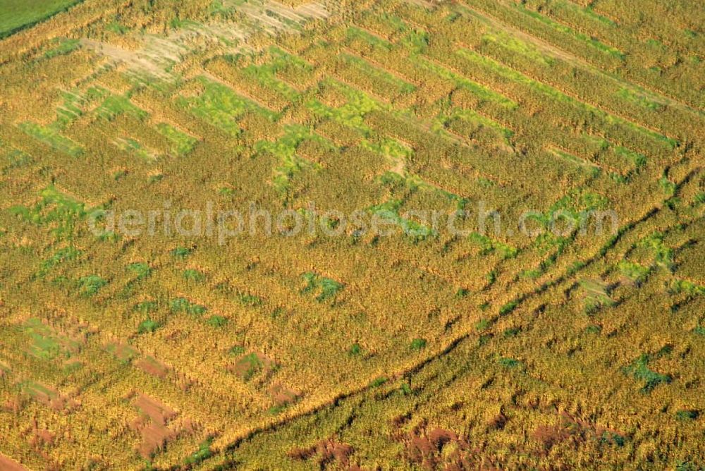 Kella from the bird's eye view: Kella ist eine Gemeinde im thüringischen Landkreis Eichsfeld. Sie gehört zur Verwaltungsgemeinschaft Ershausen/Geismar.Verbandsverwaltung: Kreisstr. 4; 37308 Schimberg; Webpräsenz: