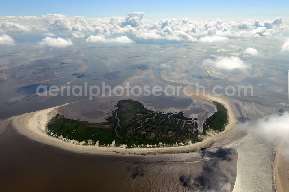 Friedrichskoog from above - View of the nature preserved island Trischen with the Wadden Sea in the North Sea