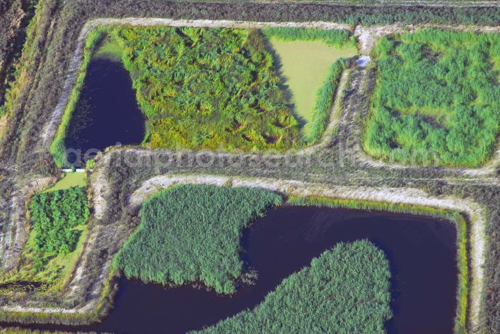 Aerial image Berlin Buch - 19.08.2006 Berlin-Buch Blick auf verschiedene Biotope nordwestlich von Berlin-Buch in Richtung Schönwalde (BRB) Die hier geschaffenen Reinigungsteiche sind in dieser Form in Deutschland einmalige künstliche Biotope, die der weitergehenden natürlichen Behandlung des Klarwassers dienen, schreiben die Berliner Forsten in ihrer Pressemappe. Während der bis Ende 2006 durch die Fördergelder des Umweltentlastungsprogramms gesicherten Wassereinleitung sollen u. a. deren Wirkung auf den Landschaftswasserhaushalt, auch für die von der Wassereinleitung profitierenden Feuchtwälder und Gewässer im Bucher Forst sowie dem NSG Karower Teiche, deren Funktion als Biologische Nach-Kläranlage für das Wasser aus dem Klärwerk Schönerlinde sowie deren Lebensraumfunktion begleitend untersucht werden.