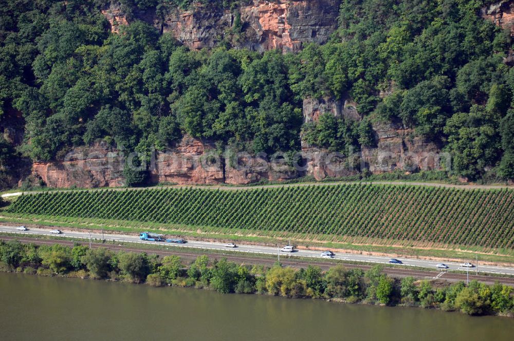 Aerial photograph Trier - Blick auf Weinanbau in einer Steilhanglage am Ufer der Mosel in Trier. Der Name des Flusses ist seit 2007 gleichzeitig Name des deutschen Weinbaugebiets für Qualitätswein. Davor war das Gebiet nach den drei Flüssen der Region - Mosel, Saar und Ruwer - benannt. Die Region stellt das größte Steillagenweinbaugebiet und die größte Rieslinganbaufläche weltweit dar. Bewirtschaftet werden die 9000 ha Fläche von insgesamt 5000 Winzern. Da die steilen Weinberge, die mineralreichen Schieferböden und die lange Vegetationsperiode optimale Bedingungen für den Rieslinganbau schaffen, sind fast 60% der Anbaufläche mit Riesling bestockt. Besucher und Touristen können die Weinberge erkunden und die verschiedenen Weine verkosten. Kontakt: Moselwein e.V., Gartenfeldstra0e 12a 54295 Trier, Tel. +49(0)651 710280, Fax +49(0)651 45443, Email: info@msr-wein.de