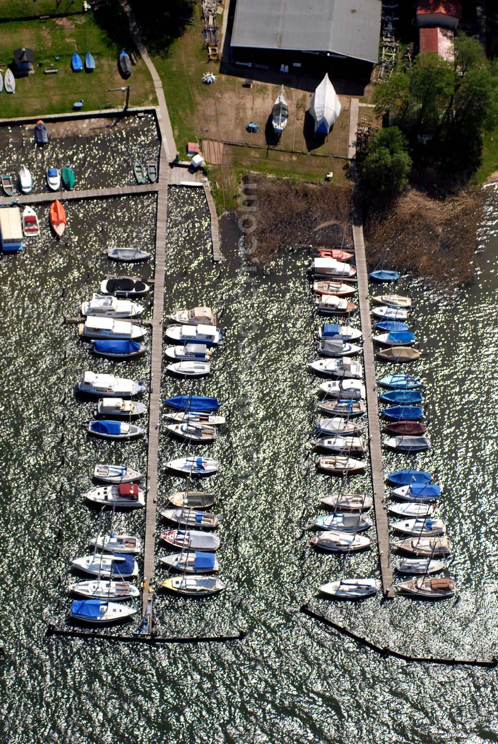 Aerial image Diensdorf am Scharmützelsee (Brandenburg) - Blick auf den Yachtclub-Hafen in Diensdorf (Brandenburg). Kontakt: Yachtclub Diensdorf e.V., Hauptstraße 20, 15864 Diensdorf,