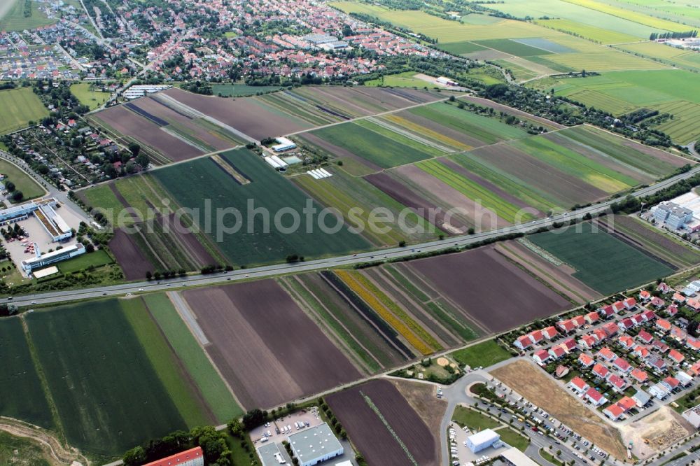 Aerial photograph Erfurt - Flower field of the plant breeding company N.L. Chrestensen Erfurter Samen- und Pflanzenzucht GmbH on Witterdaer Weg in Erfurt in the state of Thuringia