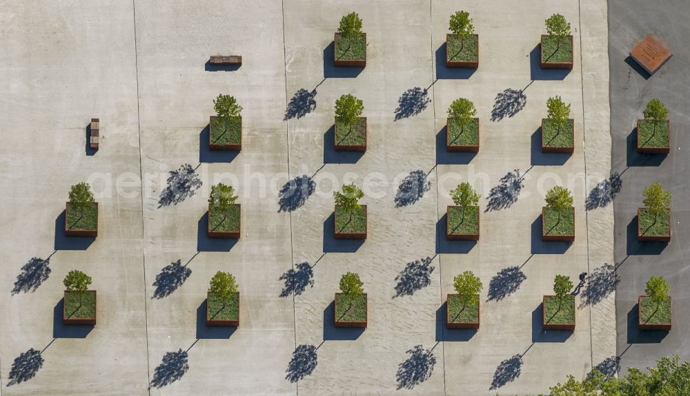 Aerial image Duisburg - Flower boxes on the forecourt of Duisburg main station