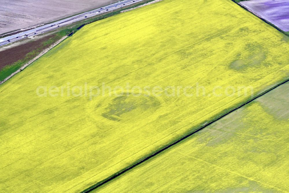 Aerial image Fehrbellin - Ground monument slavic round castle in Fehrbellin in the state Brandenburg, Germany