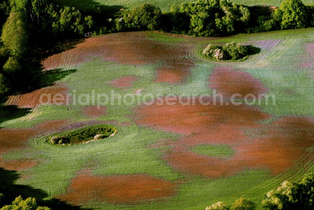 Aerial image Buchenhain - Abgebildet ist die Bodenerosion bei Buchenhain in der Uckermark. Bodenerosion ist ein immer stärker werdendes Problem, wobei sich das Bodenmaterial an der Oberfläche verlagert, bzw. abgetragen wird. Dies geschieht durch Wasser oder Wind.