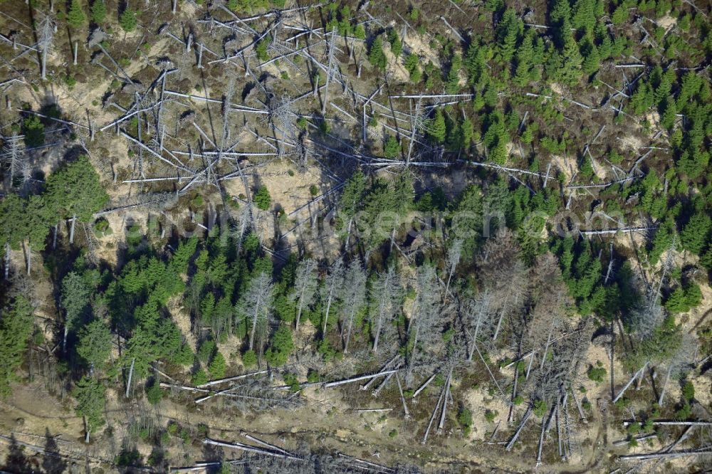 Ilsenburg from above - Soil erosion and uprooting of trees due to storm damage and strong wind in mountainous country at Ilsenburg in Saxony-Anhalt