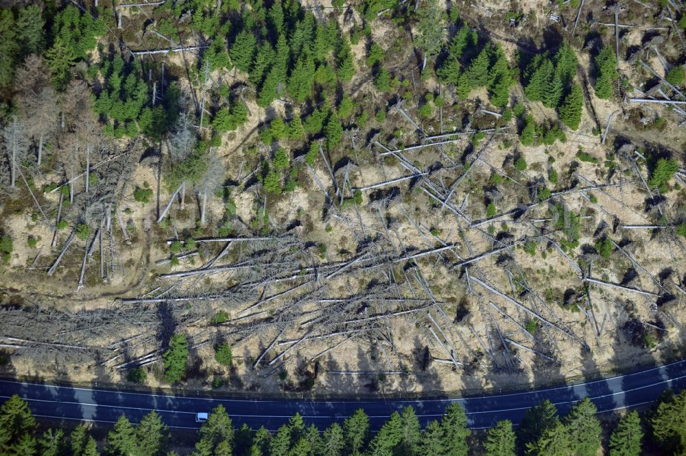 Ilsenburg from the bird's eye view: Soil erosion and uprooting of trees due to storm damage and strong wind in mountainous country at Ilsenburg in Saxony-Anhalt