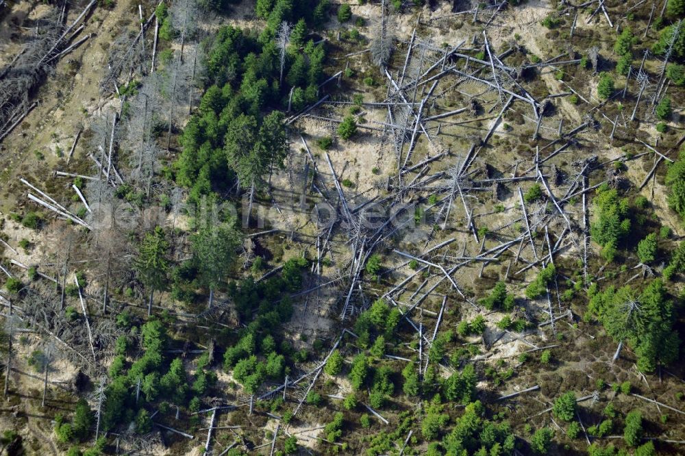 Ilsenburg from above - Soil erosion and uprooting of trees due to storm damage and strong wind in mountainous country at Ilsenburg in Saxony-Anhalt