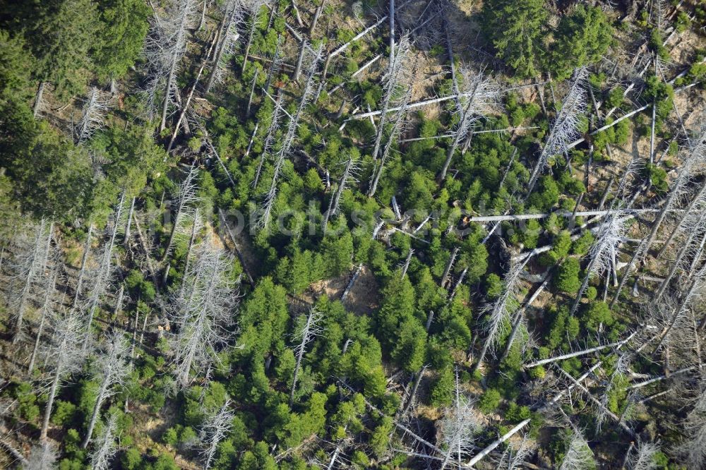 Ilsenburg from the bird's eye view: Soil erosion and uprooting of trees due to storm damage and strong wind in mountainous country at Ilsenburg in Saxony-Anhalt