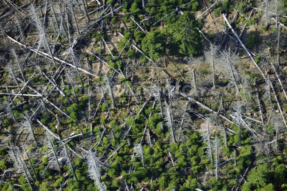 Aerial image Ilsenburg - Soil erosion and uprooting of trees due to storm damage and strong wind in mountainous country at Ilsenburg in Saxony-Anhalt