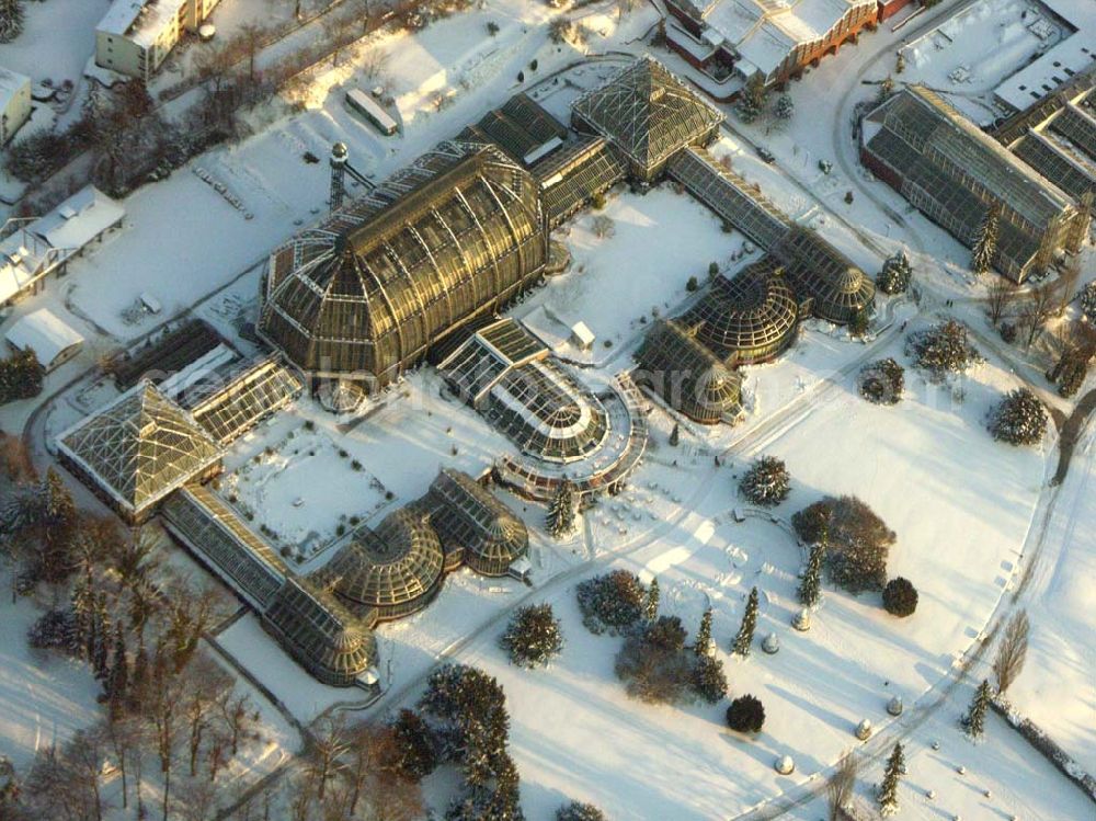 Berlin / Dahlem from the bird's eye view: Berlin - Dahlem; Winterstimmung am Botanischen Garten. Der Garten umfasst ein Fläche von 43 ha und gehört zuden größten Botanischen Gärten der Welt. Er besitzt rund 22.000 verschiedene Pflanzenarten und seine Gewächshäuser umfassen eine Fläche von 6000 qm. Botanischer Garten und Botanisches Museum, Berlin-Dahlem (BGBM), Zentraleinrichtung der Freien Universität Berlin, Königin-Luise-Str. 6-8, 14191 Berlin, Tel.: (+4930) 838-50100, Info-Tel.: (+4930) 838-50027, Fax: (+4930) 838-50186