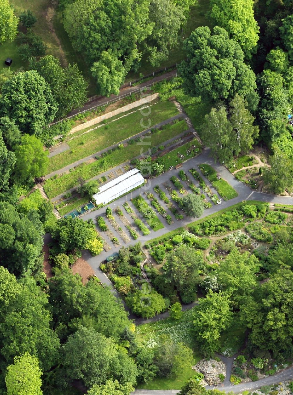 Aerial image Jena - The Botanical Garden of Jenea in state of Thuringia is located at Fuerstengraben in the city center. He serves biological, pharmaceutical and botanical studies and the education and recreation of its visitors