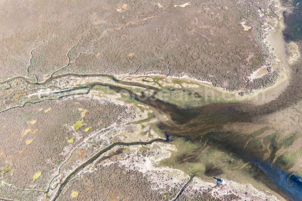 Lignano Sabbiadoro from the bird's eye view: Marsh land on the Isola Marinetta in the Lido of Grado near Lignano Sabbiadoro in Friuli-Venezia Giulia, Italy