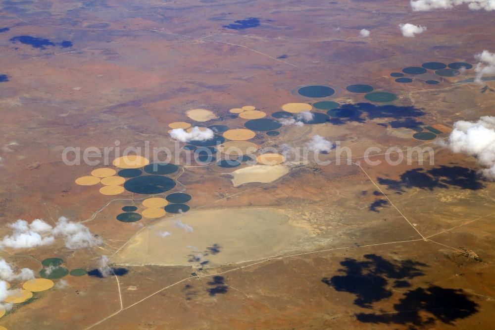 Aerial photograph Letsemeng - Agricultural landscape and colourful structures of the irrigation fields at a brackwater lake in the area of Letsemeng in Free State, South Africa