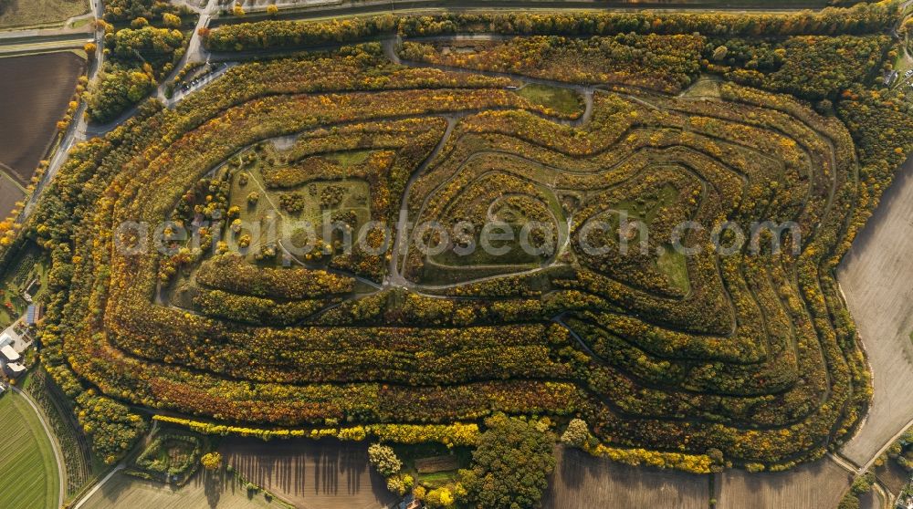 Hamm from the bird's eye view: Wooded stockpile in Hamm in North Rhine-Westphalia