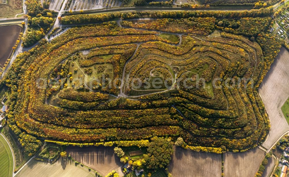 Hamm from the bird's eye view: Wooded stockpile in Hamm in North Rhine-Westphalia