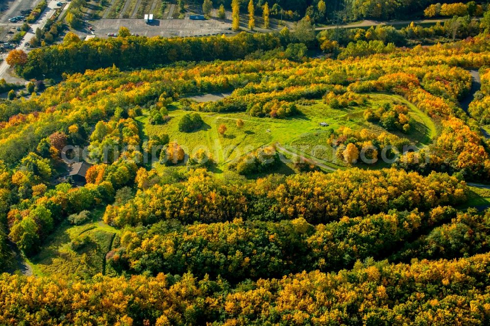 Hamm from the bird's eye view: Wooded stockpile in Hamm in North Rhine-Westphalia