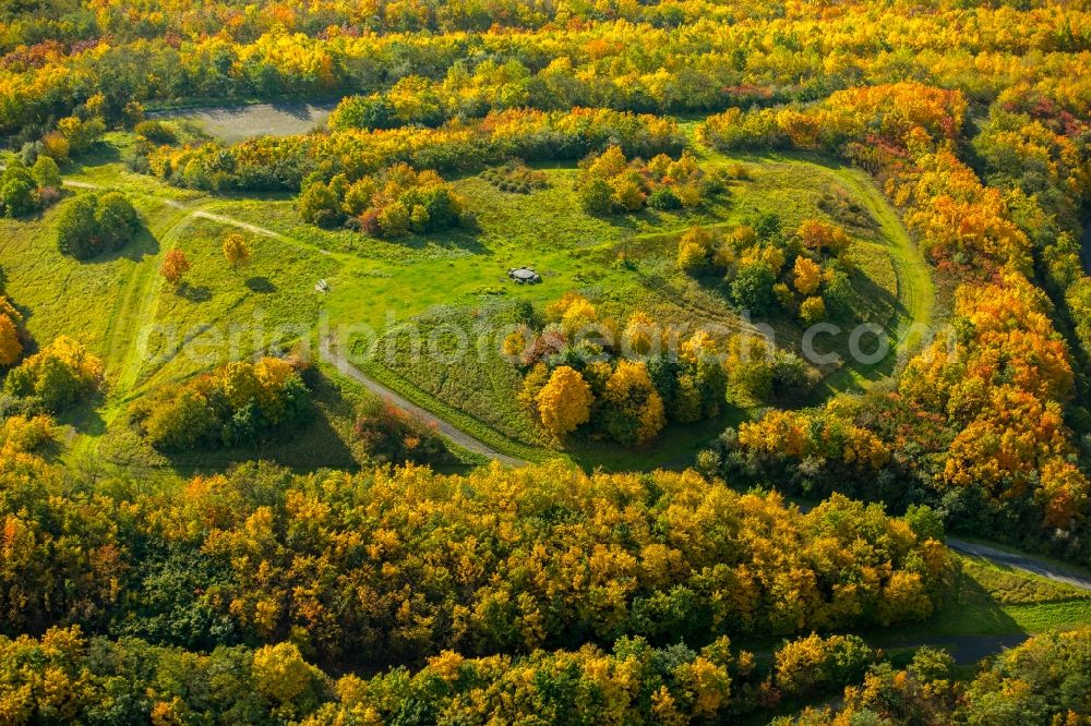 Aerial image Hamm - Wooded stockpile in Hamm in North Rhine-Westphalia