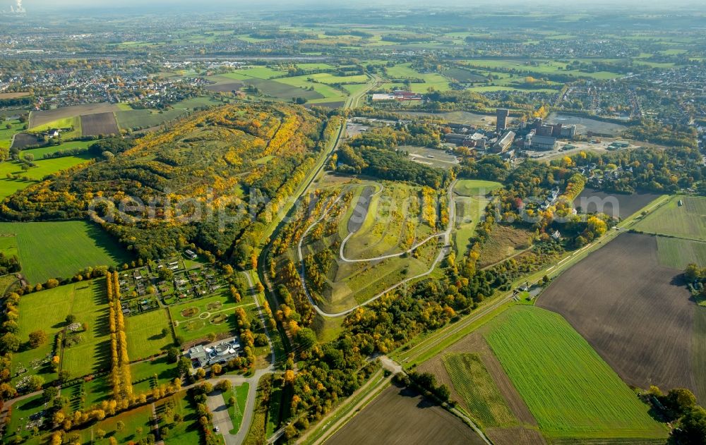 Hamm from above - Wooded stockpile in Hamm in North Rhine-Westphalia