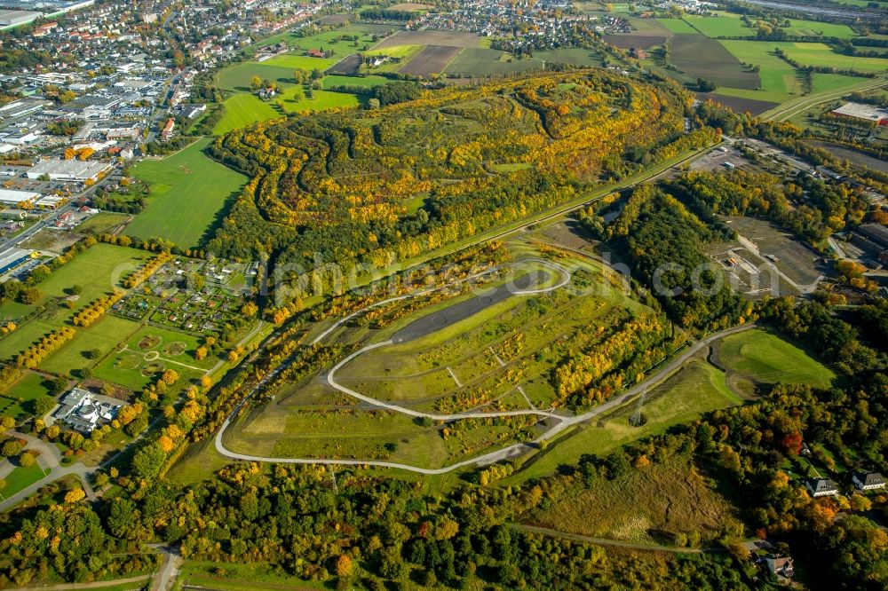 Hamm from the bird's eye view: Wooded stockpile in Hamm in North Rhine-Westphalia