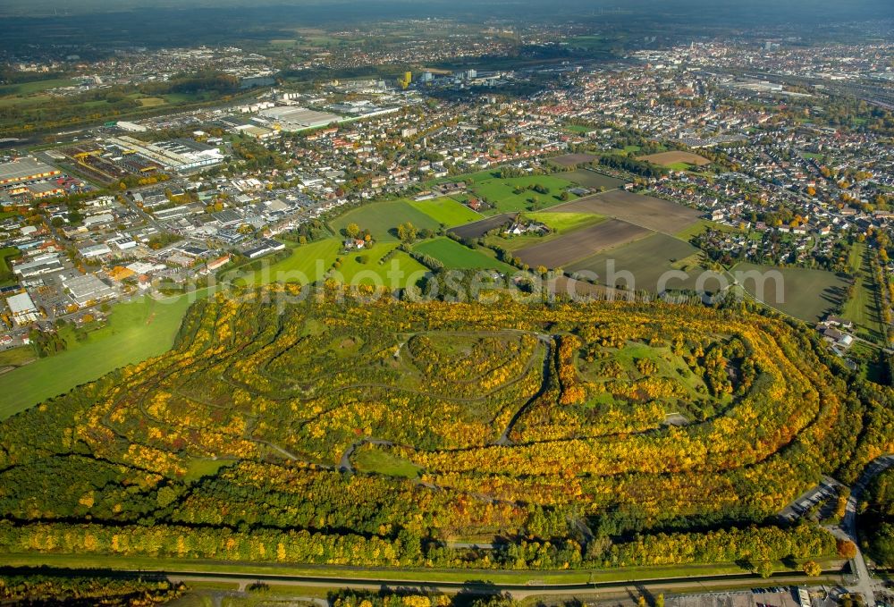 Hamm from the bird's eye view: Wooded stockpile in Hamm in North Rhine-Westphalia