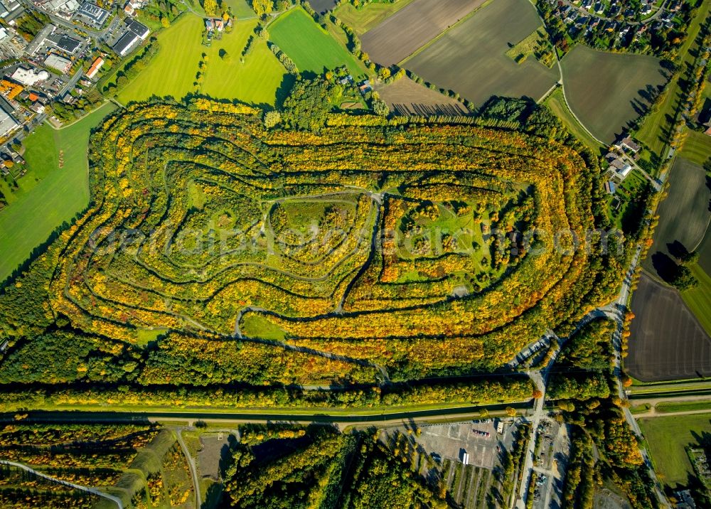 Hamm from above - Wooded stockpile in Hamm in North Rhine-Westphalia