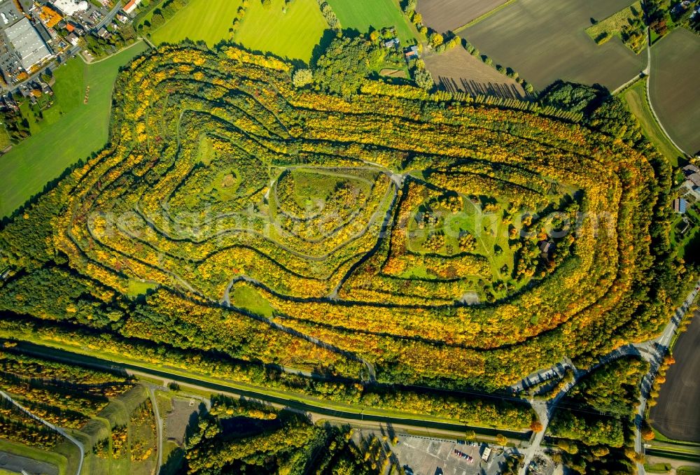 Hamm from the bird's eye view: Wooded stockpile in Hamm in North Rhine-Westphalia