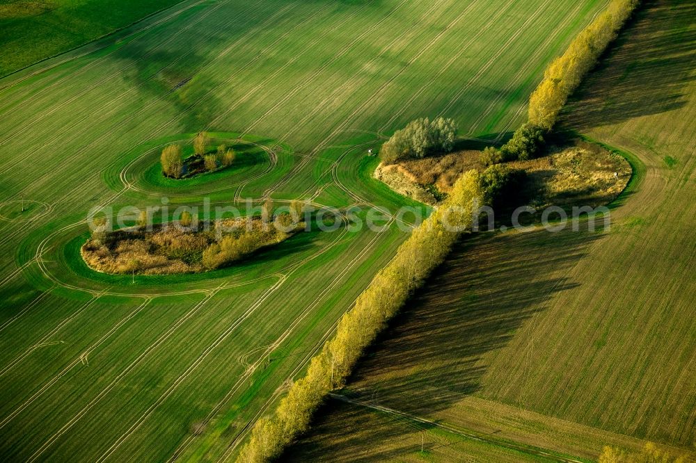 Aerial photograph Dargun OT Zarnekow - View of bushes on a field near Zarnekow in Dargun in the state Mecklenburg-West Pomerania