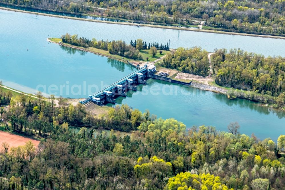 Aerial photograph Vogtsburg im Kaiserstuhl - Groyne head of the Nebenarm bei Burkheim river course in Vogtsburg im Kaiserstuhl in the state Baden-Wuerttemberg, Germany